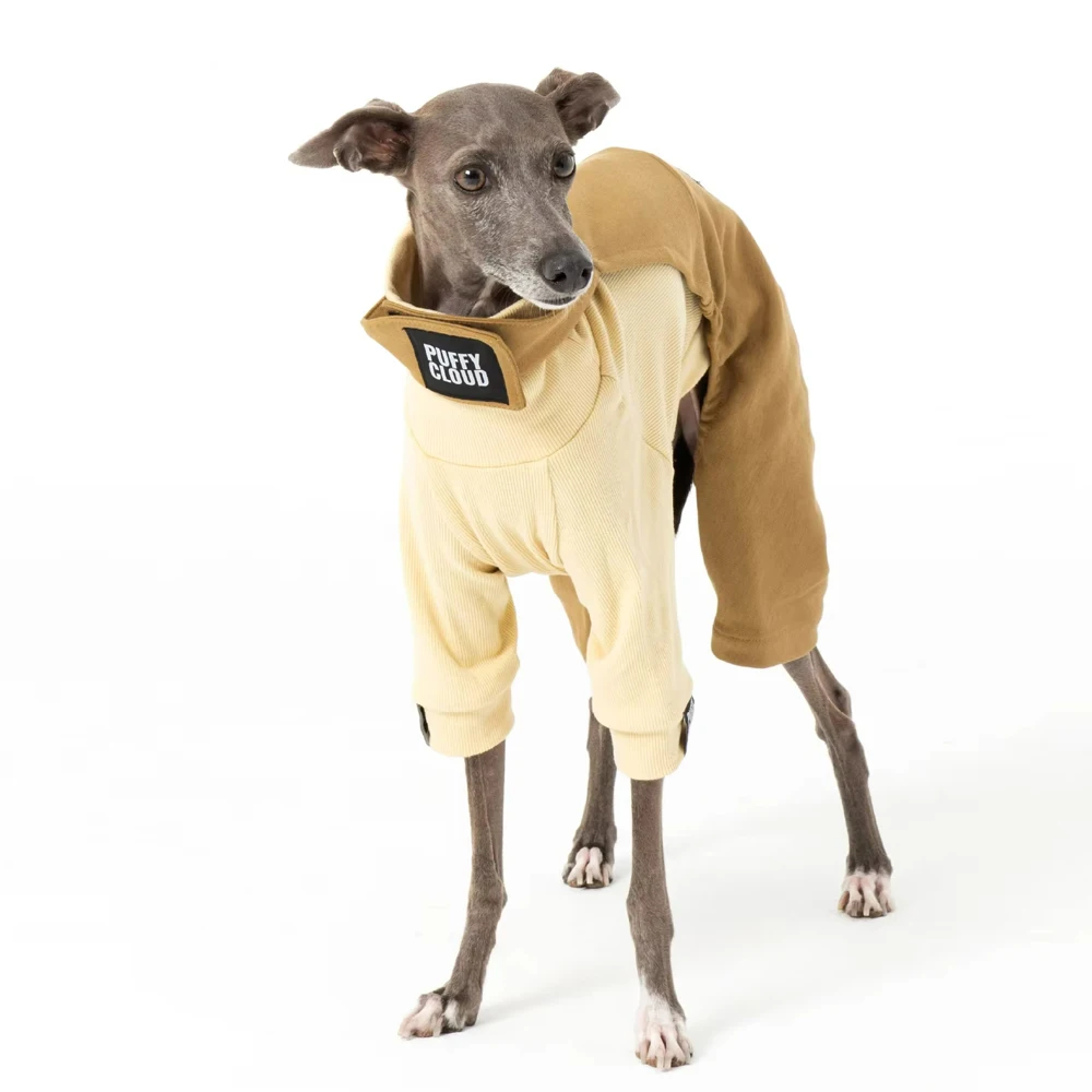Conjuntos de ropa para perros Whippet Berlington Terrier, ropa de retales de lujo para galgo italiano en primavera e invierno