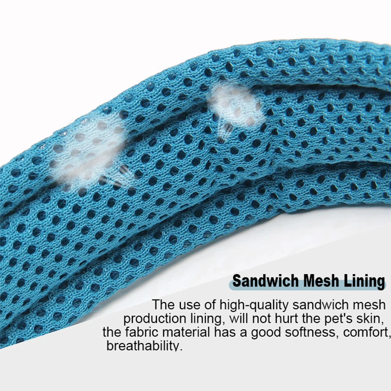 Winhyepet-Collar cómodo acolchado con hebilla para perro, accesorio táctico para caminar y viajar, 11 colores, talla XXS-XXXL - imagen 3