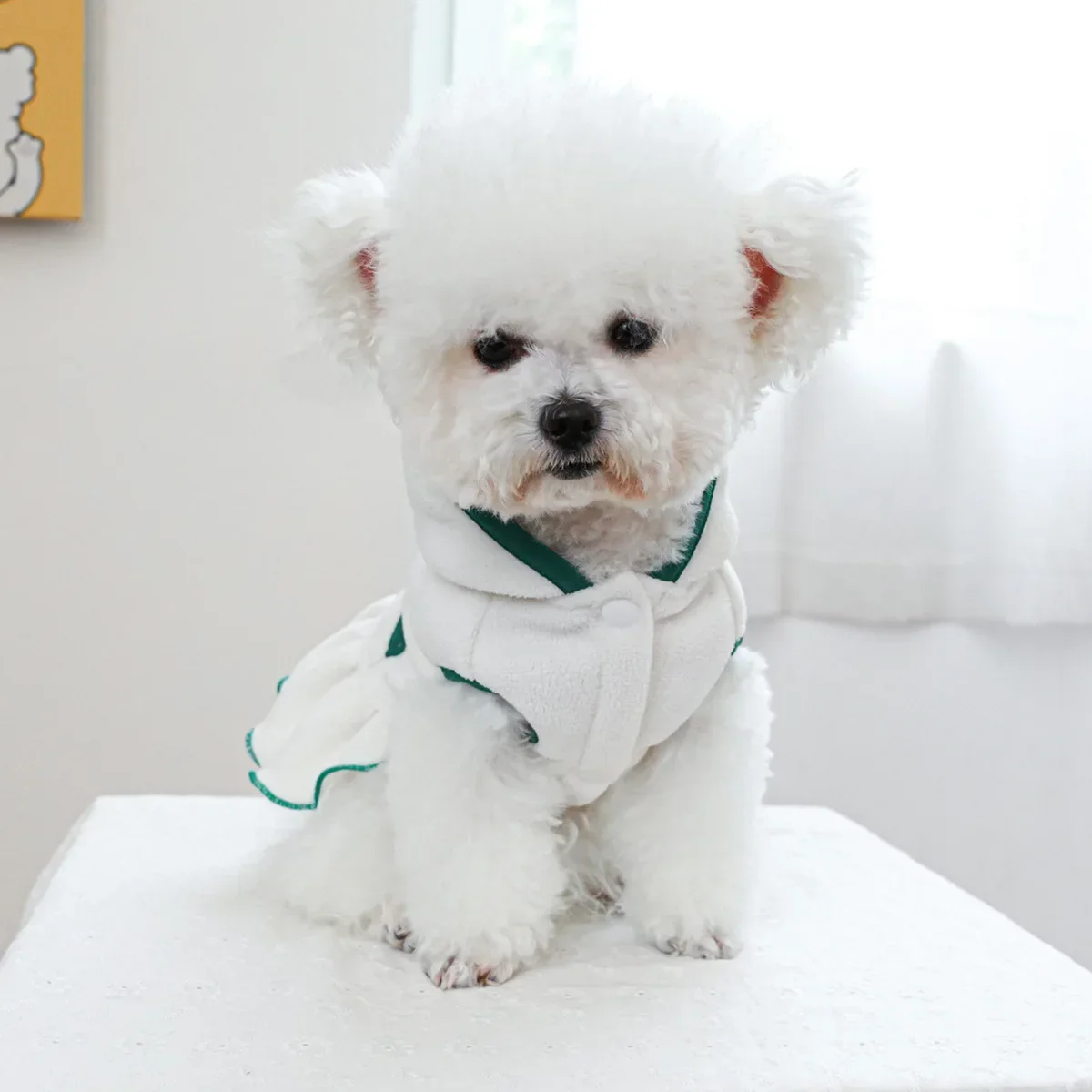 Sudadera con capucha de felpa para mascotas, ropa para perros pequeños y gatos, vestido de tenis de otoño e invierno, abrigo para perros, chaqueta, ropa para cachorros, accesorios para perros - imagen 4