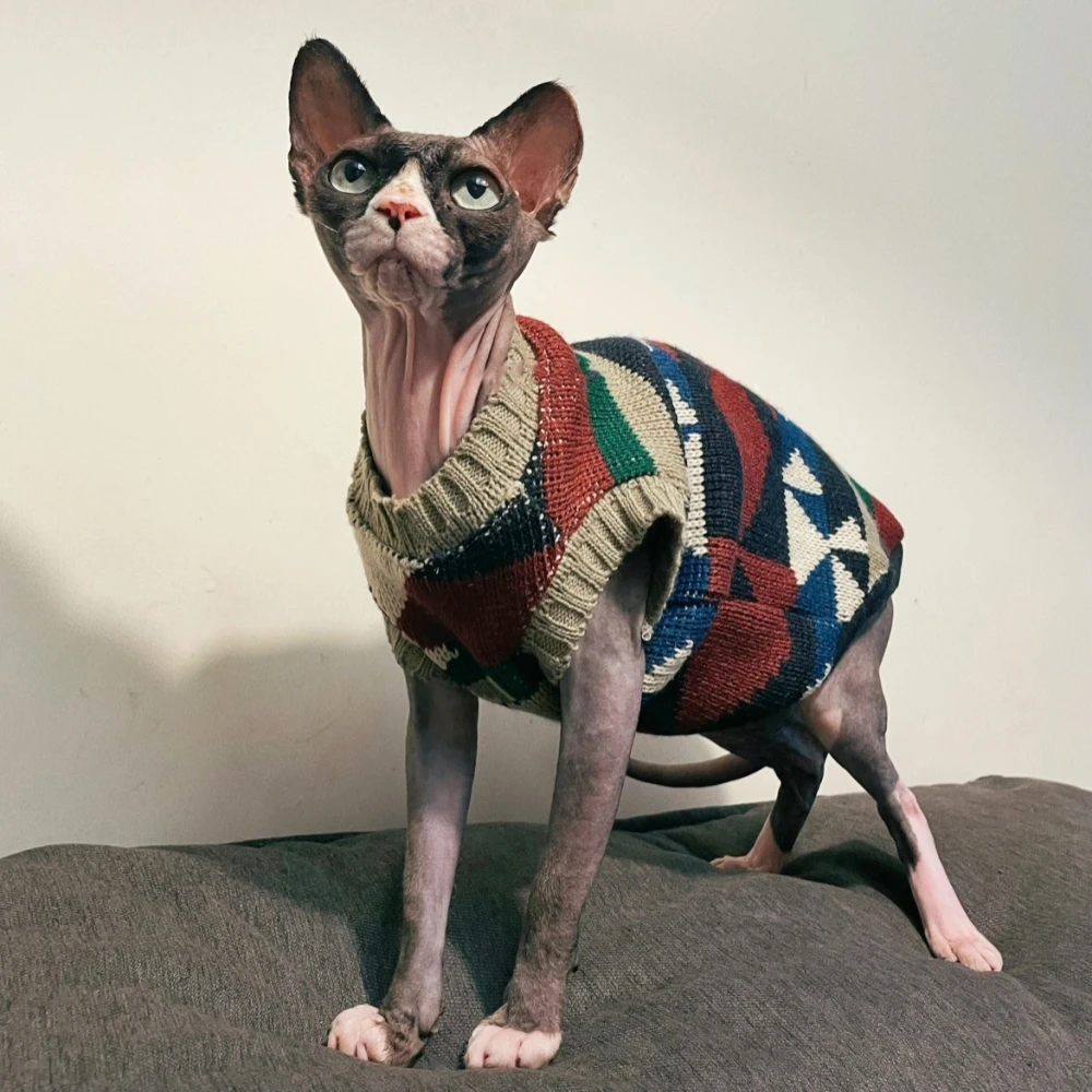 Abrigo de punto de Navidad para gato, ropa de salón para gato Sphynx, chaleco de suéter británico clásico de invierno, suministros para gatos de vacaciones