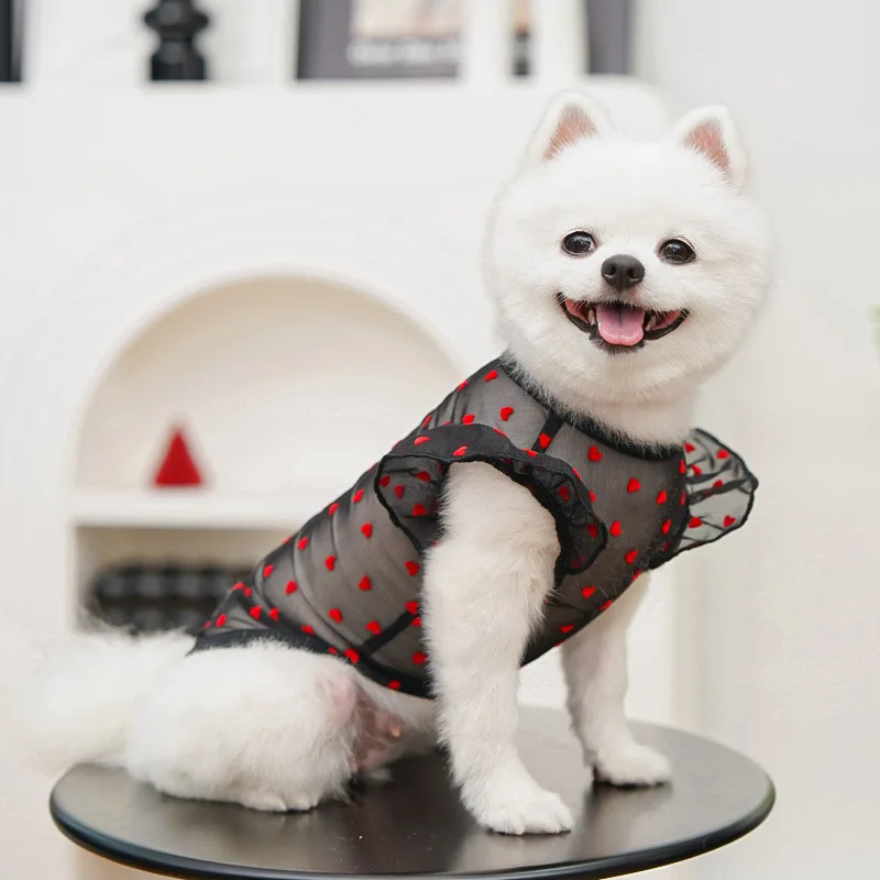 Ropa para perros, Sudadera con capucha transparente negra de verano para perros pequeños, Pug, perro salchicha, ropa de manga voladora, sudadera para cachorros, camiseta XS - imagen 2