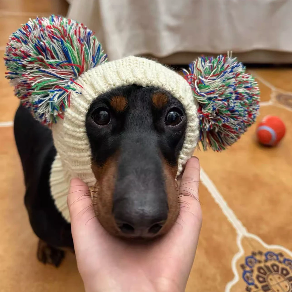 Suéter de cachemira con gorro para Dachshund – Jersey térmico para perro salchicha - imagen 4