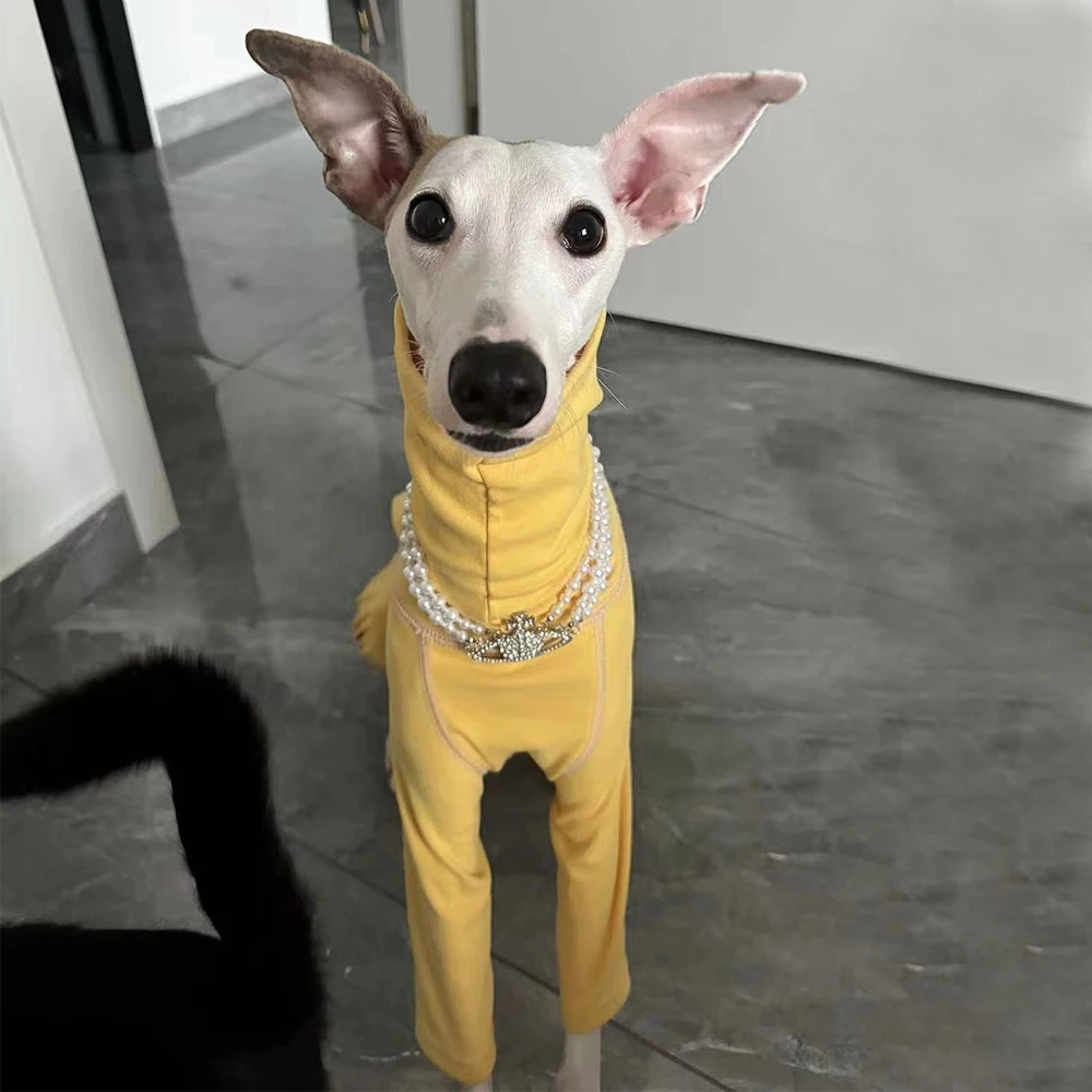 Sudadera de algodón de otoño de 4 patas para medios pequeños, mono de cuello alto suave y cálido de galgo italiano grande para Whippet en invierno - imagen 3