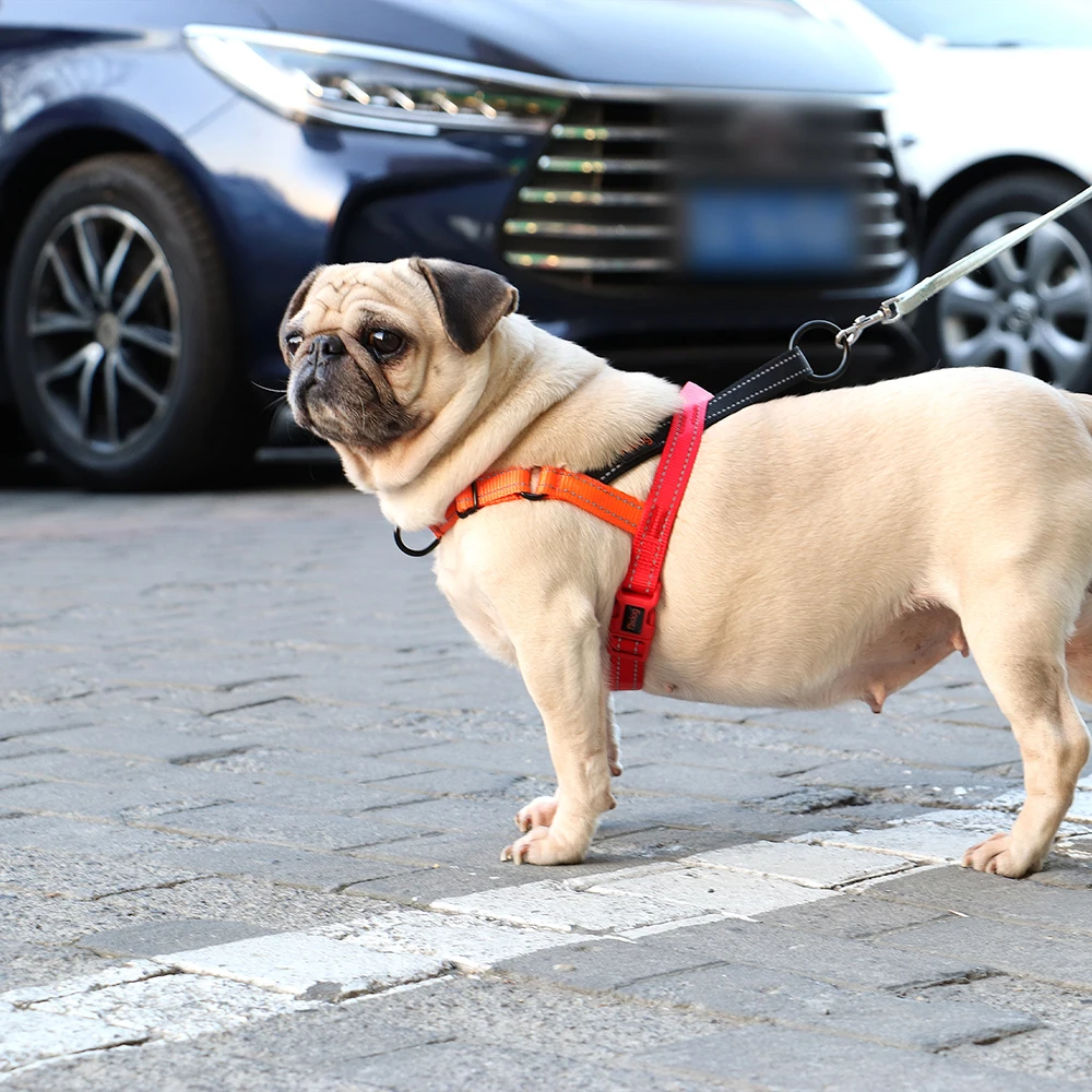 Arnés reflectante de nailon para perros, chaleco ajustable sin tirones para mascotas, arnés de Control rápido para Bulldog Francés, Chihuahua, chaleco Perro - imagen 5