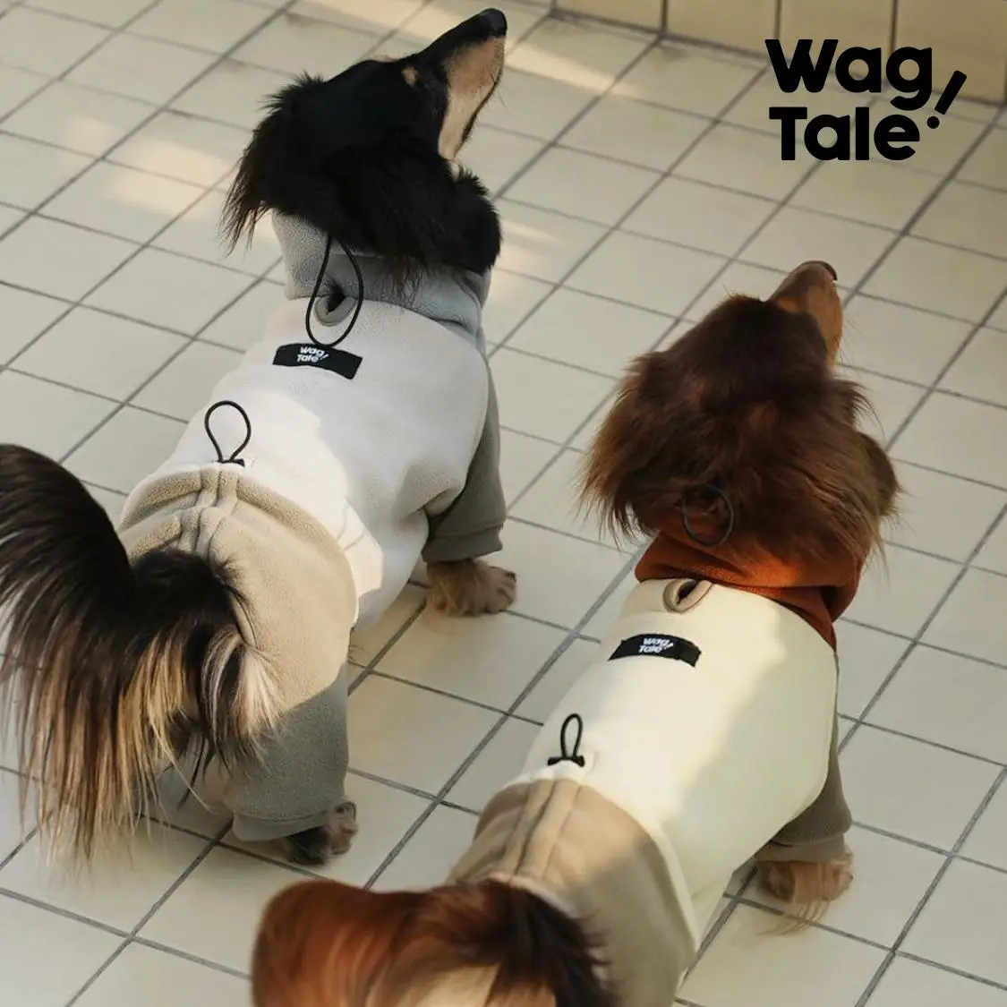 Ropa gruesa de moda para perros salchicha de 4 patas, abrigo cálido con cuello alto a prueba de viento para perros salchicha en invierno