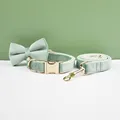 Bow Collar Leash17