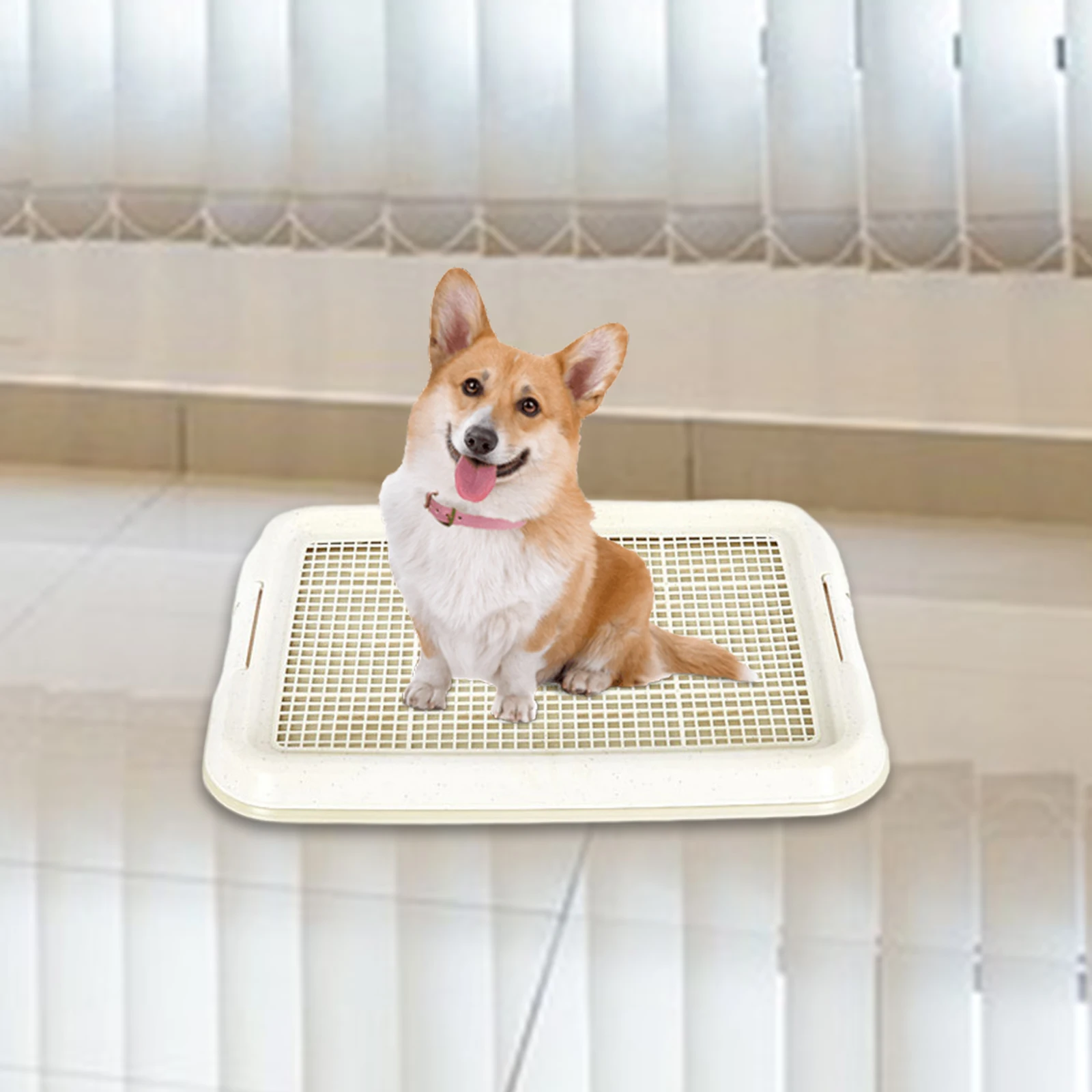 Bandeja entrenamiento cachorros con soporte para almohadillas – 47x35 cm - imagen 5