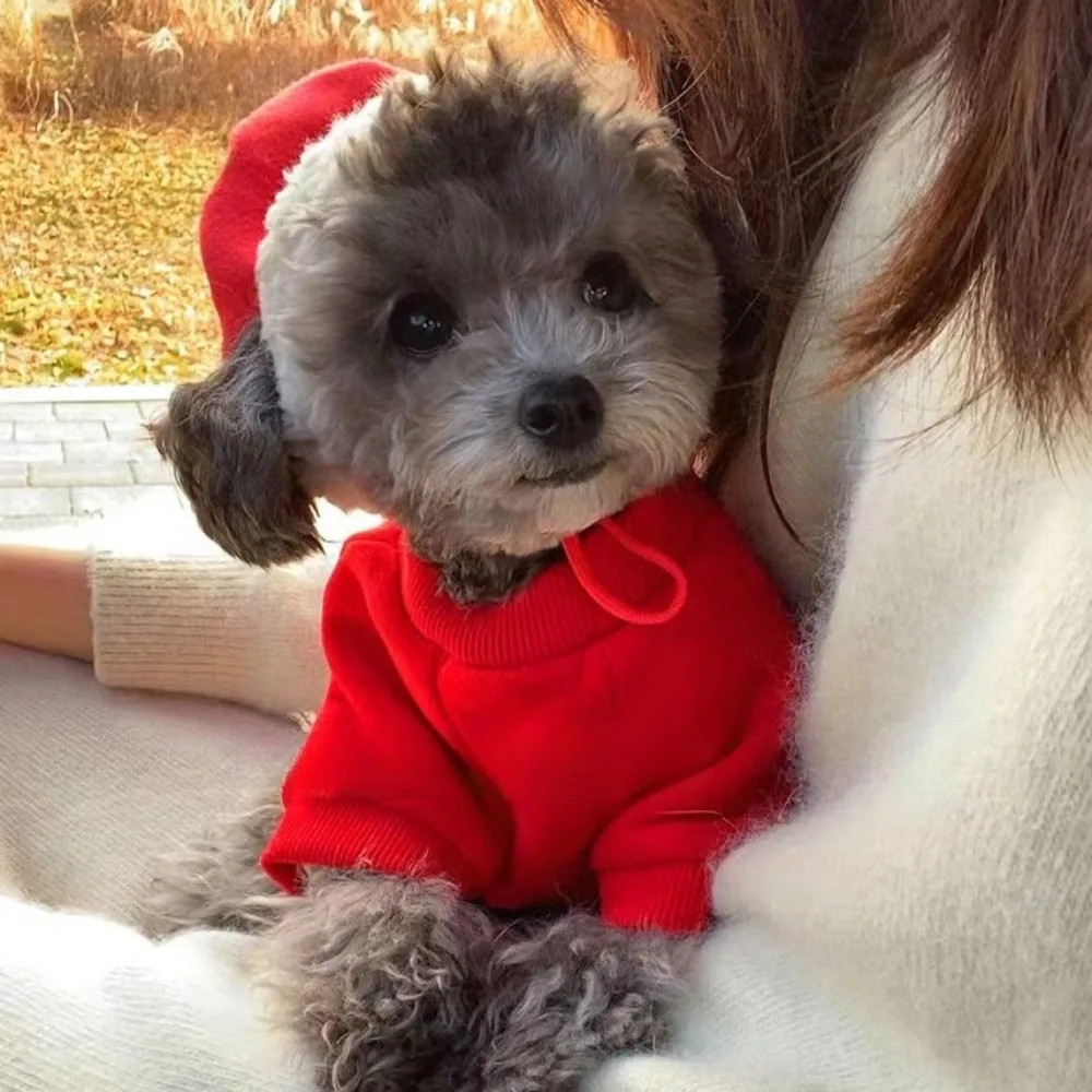 Gorro de Navidad para mascotas, bonito y festivo, gorro con bola de piel de gato rojo, cubierta para la cabeza, gorros cálidos, accesorios para perros de Año Nuevo para perros pequeños - imagen 5