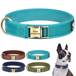 Collar acolchado personalizado para perros – Ajustable y suave