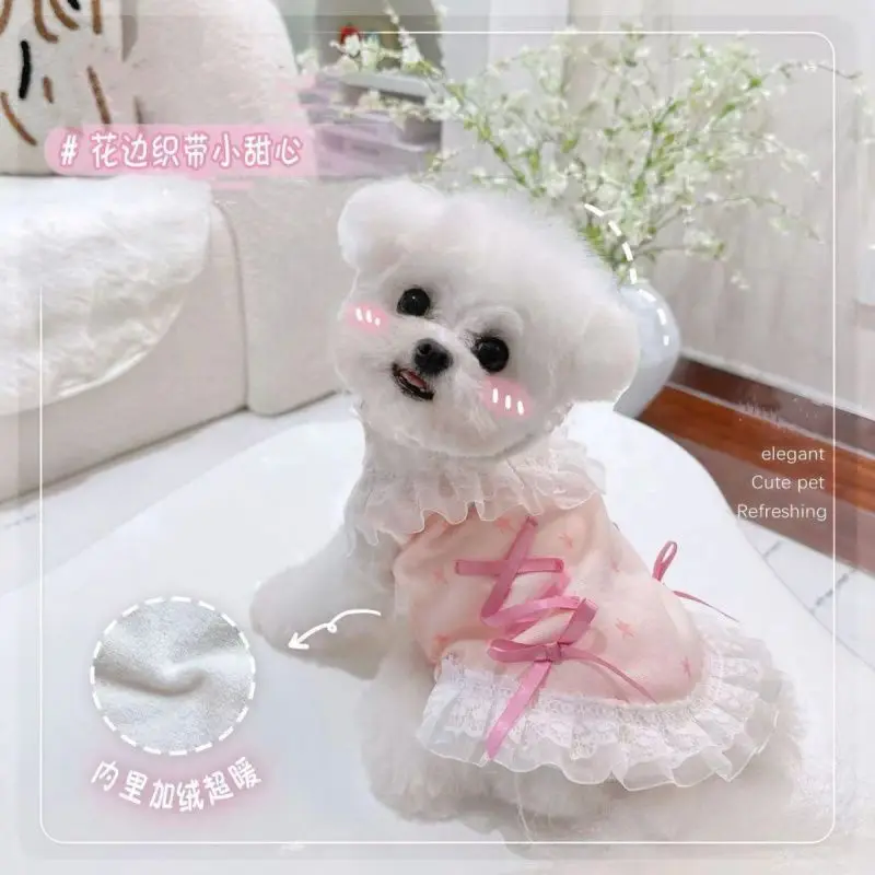 Abrigo de encaje dulce para otoño/invierno para mascotas, falda, abrigo para gatos de otoño/invierno, ropa para cachorros de peluche pequeños, ropa para perros pequeños - imagen 3