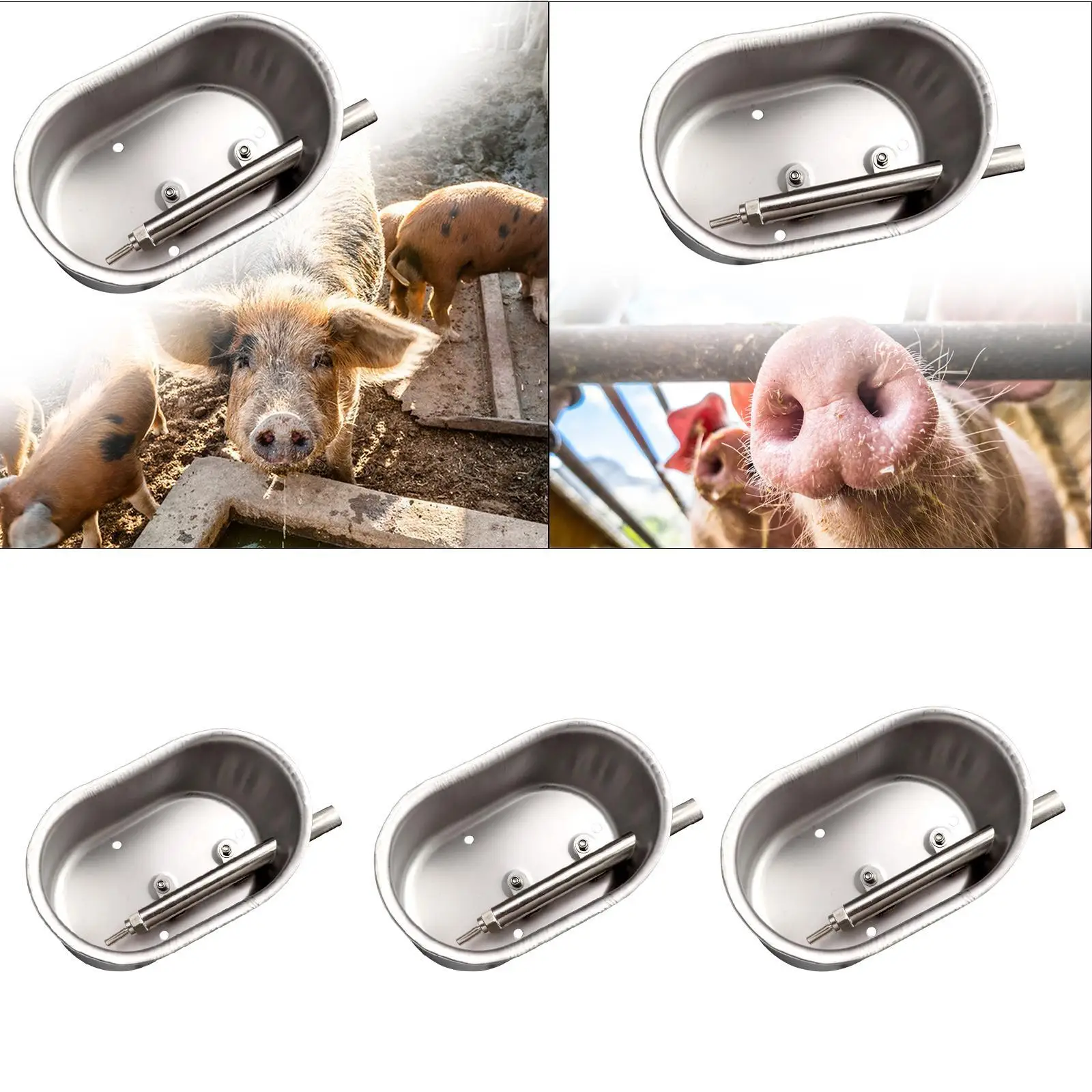 Automatic Pig Waterer Drinker Livestock Waterer for Cattle Livestock Piglets Automatic Pig Waterer Drinker Livestock Waterer for Cattle Livestock Piglets