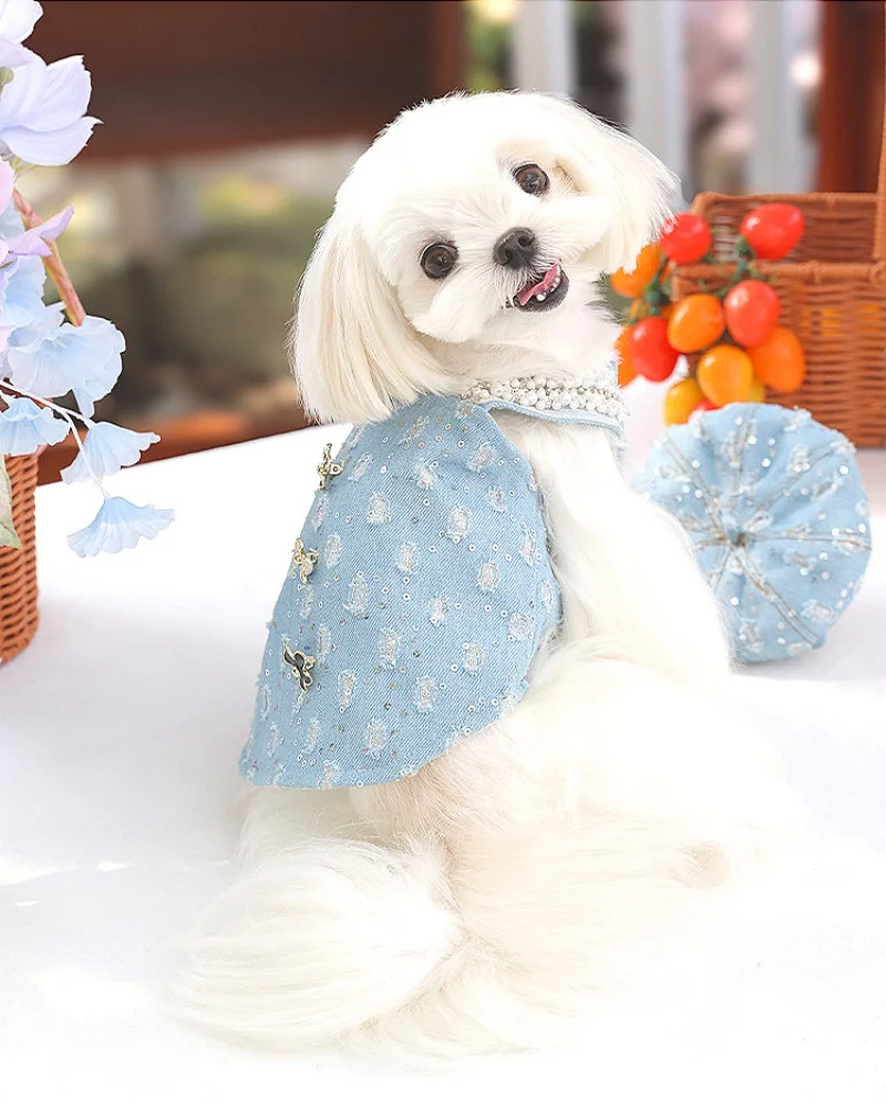Chaleco y tirantes con forro polar vaquero para perros pequeños como Bichon Frises Poodles chaleco para perros con sombrero ropa para perros - imagen 5