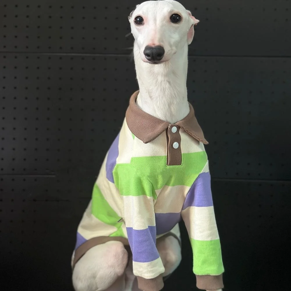 Camiseta de primavera para Italia Greyhound British Gentleman Style Polo de algodón a rayas verde caqui Pijama de agua para perros domésticos en otoño - imagen 5