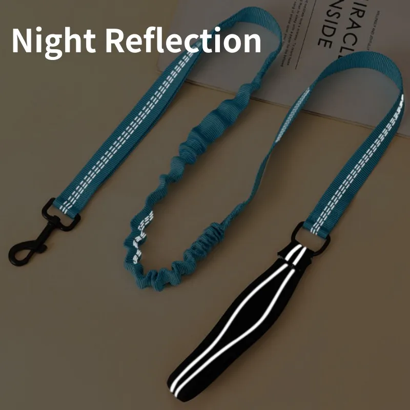 Correa de nailon reflectante para perro, correa elástica retráctil para caminar, suministros para mascotas, doble mango - imagen 3