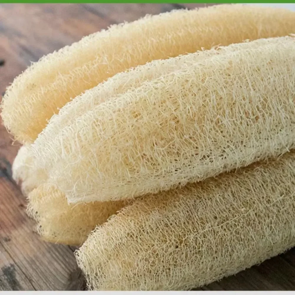 Esponja de Luffa Natural, esponja de lufa, tablero de celulosa, cocina, baño, ducha, esponja, 1 ud. - imagen 5