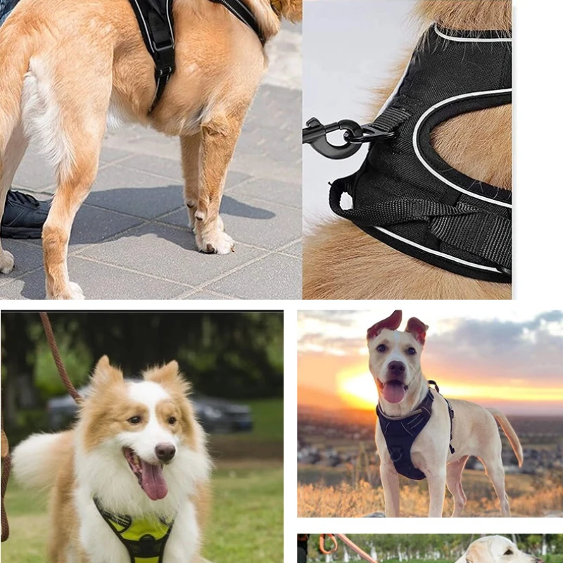 Chaleco con correa para perro, pecho de nailon para mascotas, suministros para mascotas, accesorios de viaje, diseño reflectante, correas portátiles, correa trasera para el pecho para mascotas - imagen 3
