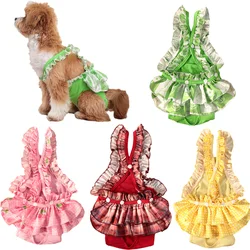 Bragas lavables reutilizables para perras en celo - Caniche y Schnauzer