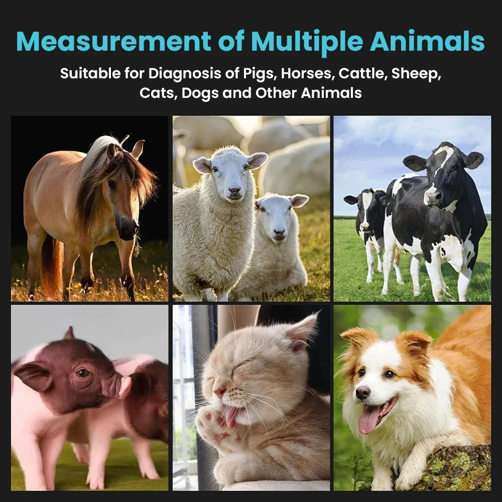 SC20 Vet Veterinary Color Doppler Digital B-sistema de diagnóstico por ultrasonido Escáner de embarazo Máquina de detección de salud - imagen 4