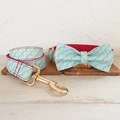 Bow Tie Collar Leash