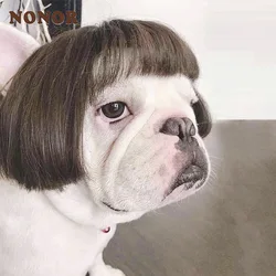 Pelucas para mascotas: gatos y perros - Accesorios de cosplay