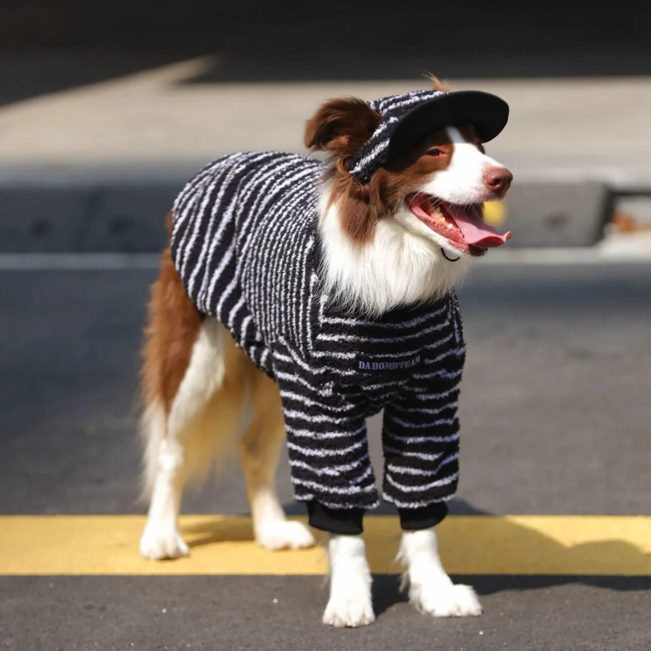 Jersey a rayas con capucha para perro – Abrigo lana invierno - imagen 4
