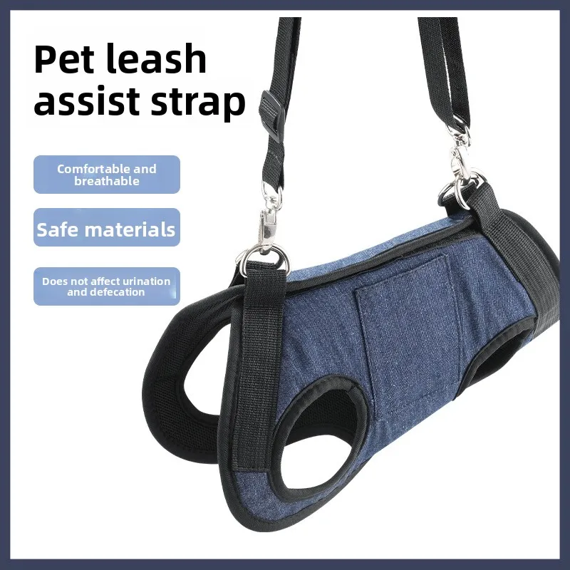 Mochila transportín para pasear gatos y perros mini con correa integrada