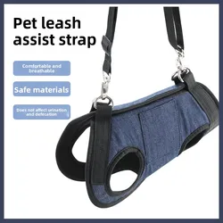 Mochila transportín para pasear gatos y perros mini con correa integrada