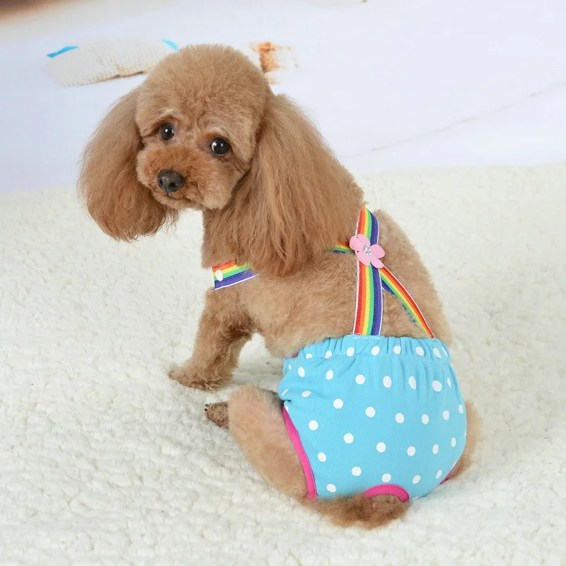 Pantalones fisiológicos para perros con correa - camiseta sin mangas - imagen 3