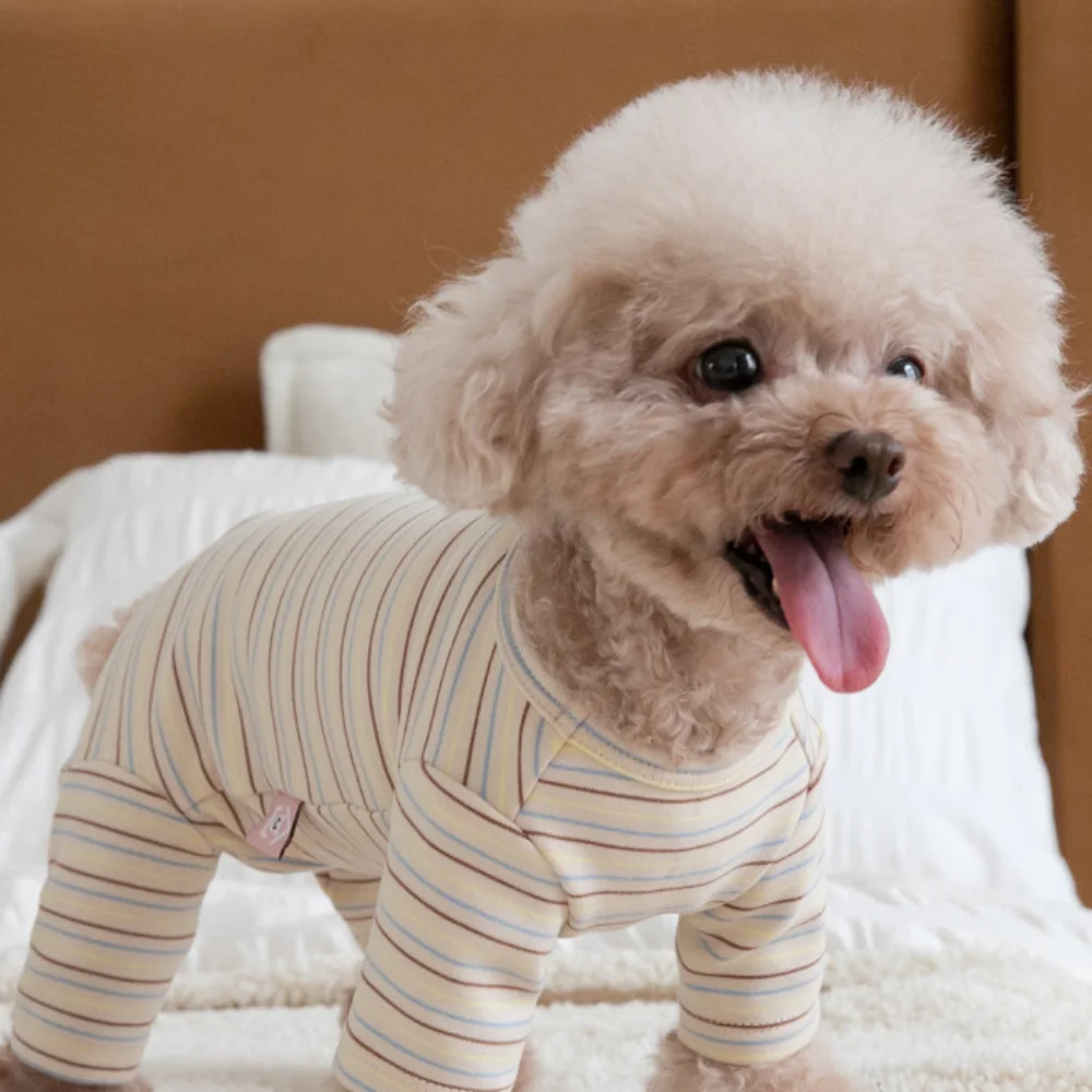 Jersey a rayas para perros y gatos – Ropa cálida de cuatro patas - imagen 4