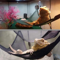 Hamaca escalerilla con tumbona 2 en 1 para reptiles