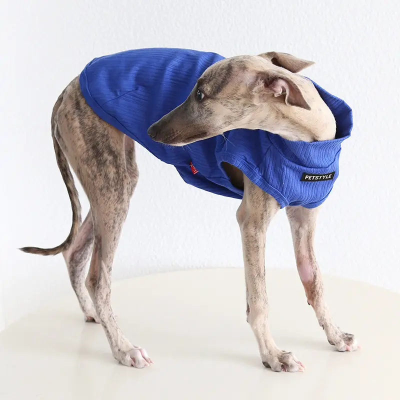Chaqueta ligera para Whippet y Galgo Italiano – protección solar - imagen 4
