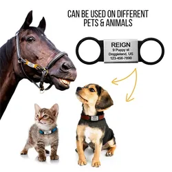 Placa identificación grabada acero inoxidable para perros y gatos