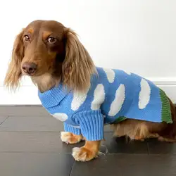 Suéter cálido de lana para dachshund, ropa de invierno para perro