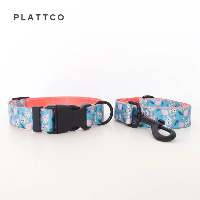 PLATTCO color de PITAYA TEASE desgarrado rápidamente perro pajarita collar correa conjunto teddy bichon pequeño 5 tamaños PDC323 - imagen 2