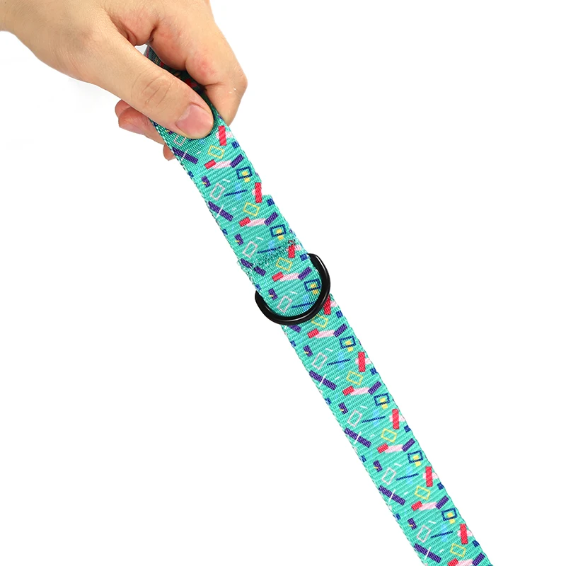 PLATTCO mascota al aire libre duradero imitación nylon correa de perro FLYING CONFETTI para caminar todo tipo de productos para perros 5 tamaños PDL335 - imagen 2