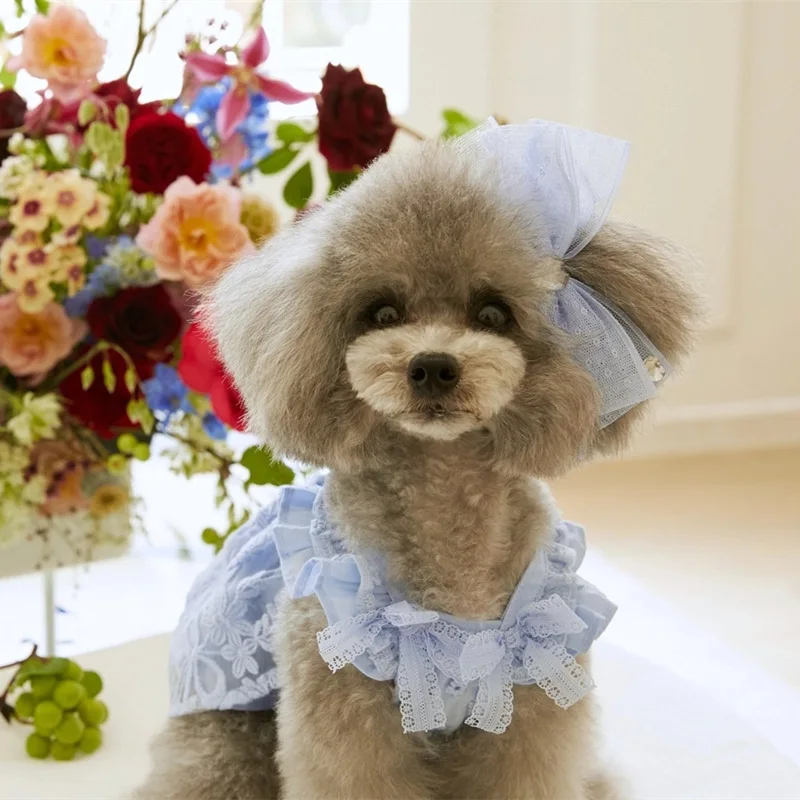 1/Set de moda para mascotas, vestido de princesa con mangas voladoras de encaje de verano, vestido de malla de peluche, camiseta sin mangas fina para perros y gatos, tocado con lazo, ropa para cachorros - imagen 4