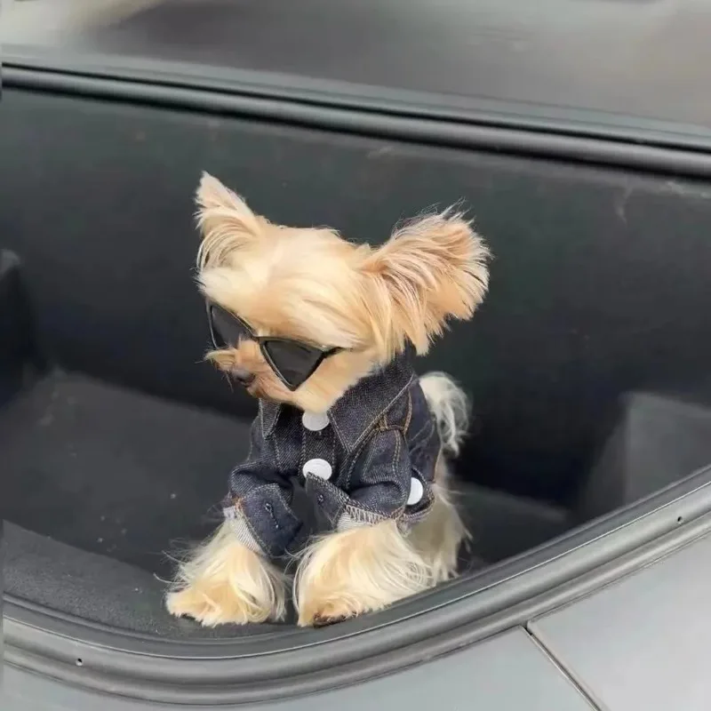 Moda Ins mascota vaquero mascota bordado abrigo ropa de invierno chaquetas con tirantes ropa para cachorros para perros pequeños ropa de diseñador para perros - imagen 2