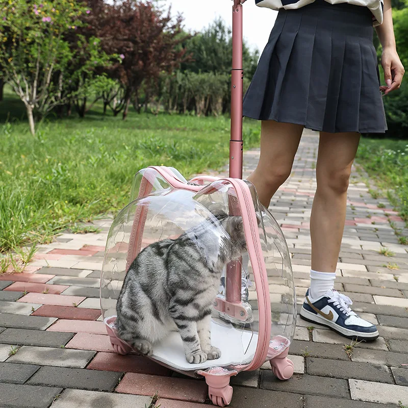 Transportín transparente para mascotas, transportadores transpirables de viaje para gatos, bolsa para perros pequeños y gatos de gran capacidad con asa de rueda, suministros para mascotas y gatitos - imagen 2