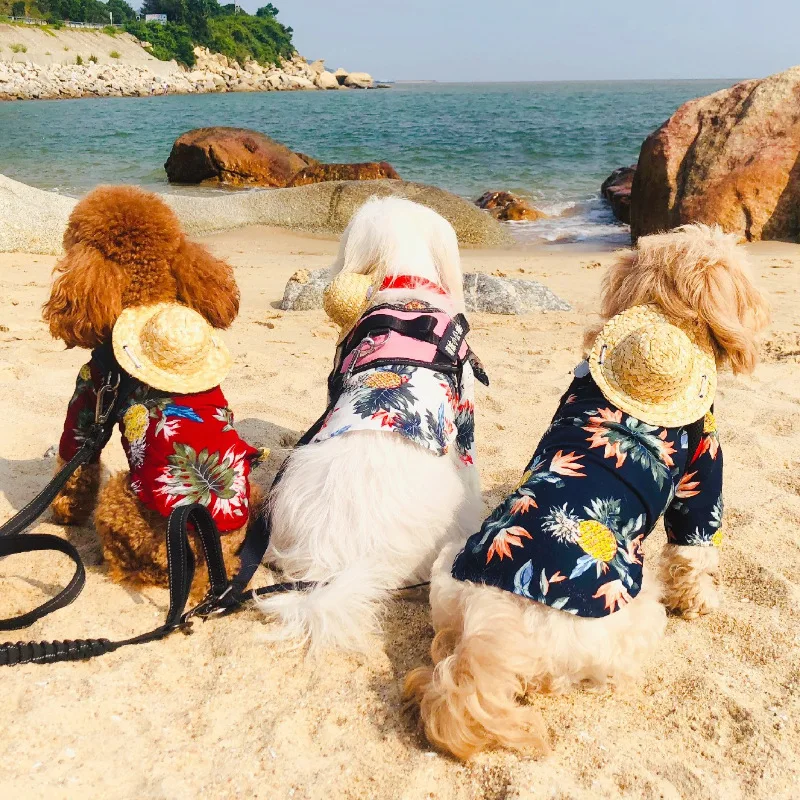 Camisa de verano para perros de estilo hawaiano, chaleco suave para perros, camiseta para perros Chihuahua Bichon, disfraz para cachorros y gatos para perros pequeños, medianos y grandes