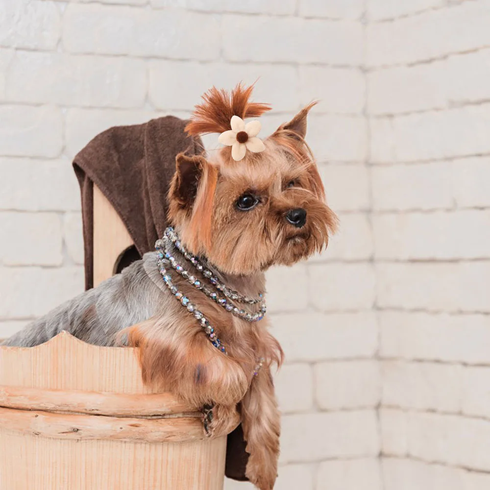 100 Uds exquisitos lazos para el pelo de perro Otoño Invierno moda perros pequeños lazos de aseo bandas de goma accesorios para el cabello de perros - imagen 4