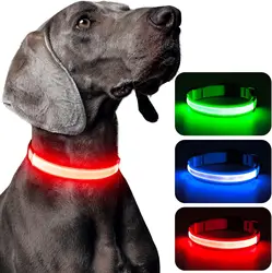 Collar LED para perros con visibilidad nocturna - Recargable USB