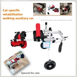 Silla de ruedas para gatos y perros con movilidad reducida compacta