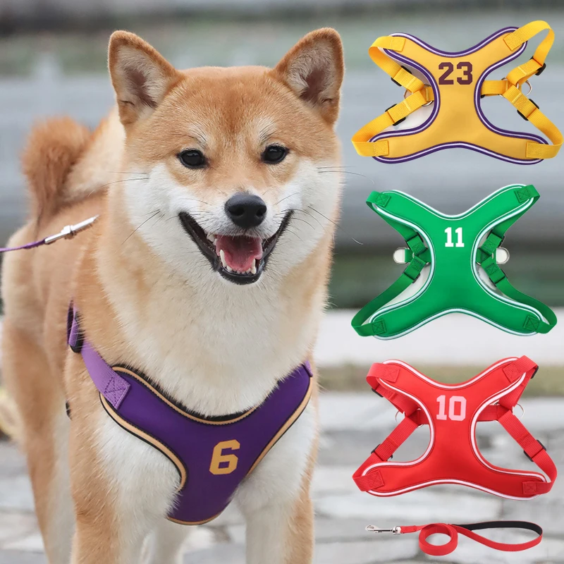 Chaleco deportivo de verano para mascotas, conjunto de arnés y correa para perros transpirables reflectantes para perros pequeños y medianos, arneses para cachorros Shiba inu Corgi