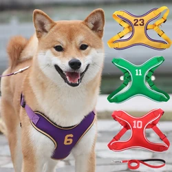 Arnés reflectante para perros pequeños y medianos – Chaleco seguro para paseos de verano