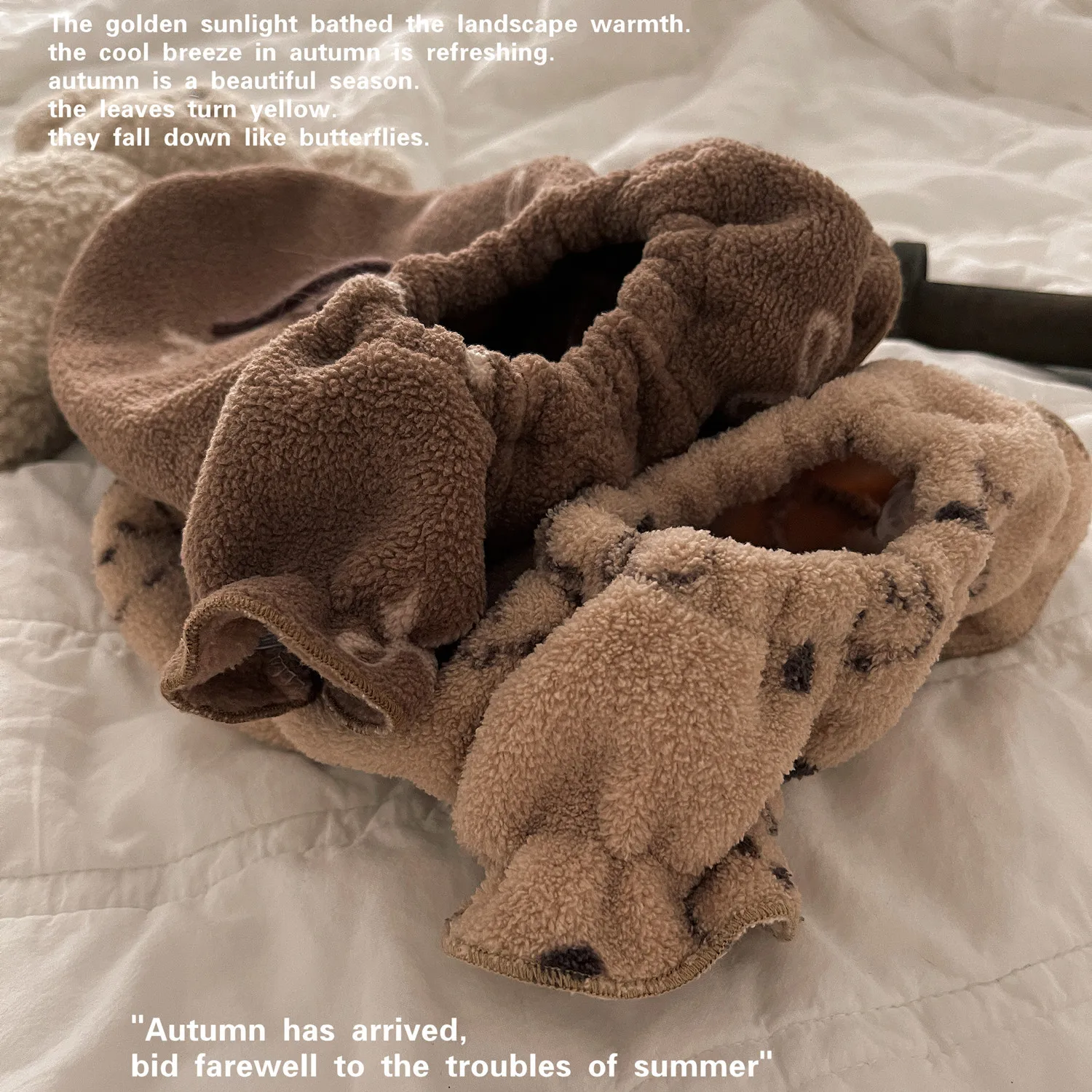 Chaleco de felpa de otoño/invierno para mascotas, ropa de casa cálida de felpa de doble cara para gatos, ropa de dormir de peluche para perros pequeños - imagen 5