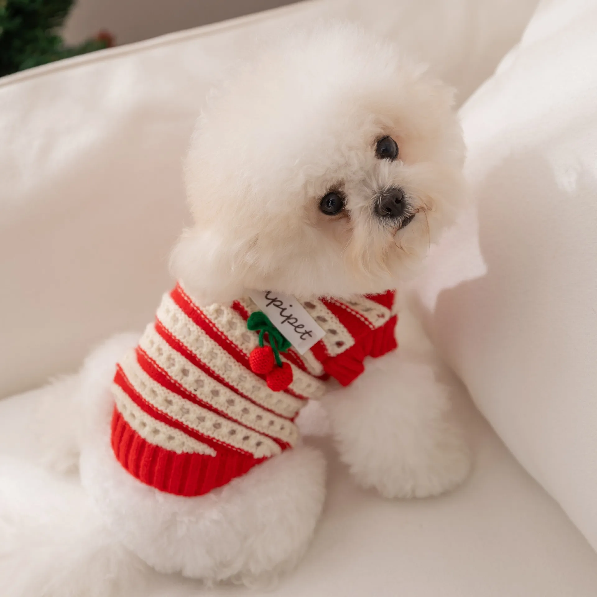 Suéter de punto de Navidad para mascotas, suéter a rayas de cereza roja, ropa para perros pequeños de peluche, ropa para perros de dos patas, Otoño/Invierno