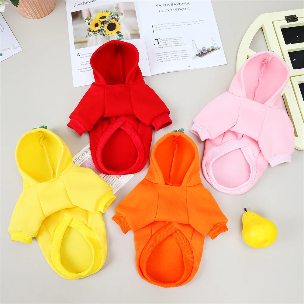 Sphynx-Sudadera con capucha y estampado de frutas para gato, ropa cálida de otoño e invierno para mascotas, disfraz de gato, Garfield, Katten - imagen 3