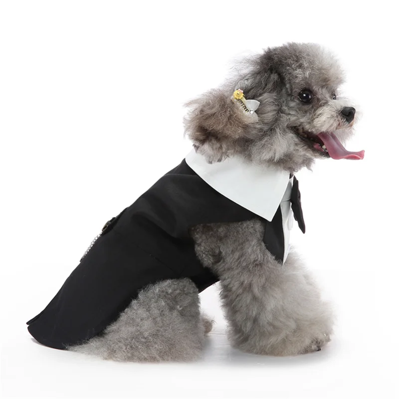 Ropa para mascotas de primavera y otoño, esmoquin para perros a la moda con pajarita para perros pequeños, disfraz de Schnauzer y Yorkshire - imagen 4