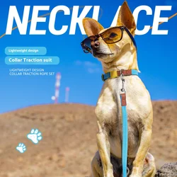 Juego de Collar de perro a prueba de escape para perros pequeños y medianos, Collar de entrenamiento ajustable con correa, banda para el cuello acolchada antideslizante para mascotas sin estrangulamiento