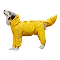 yellow for boy dog